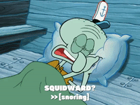 season 6 gullible pants GIF by SpongeBob SquarePants