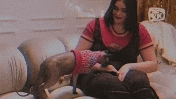 Hypoallergenic Friends