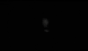paracrona deathmetal blackmetal paracrona blackeneddeathmetal GIF