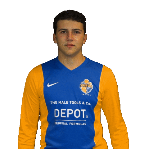 blauwgeel giphyupload football voetbal veghel Sticker