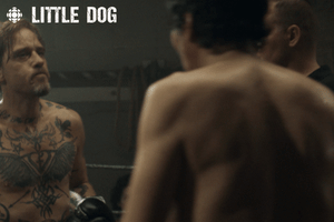comedy boxing GIF by CBC