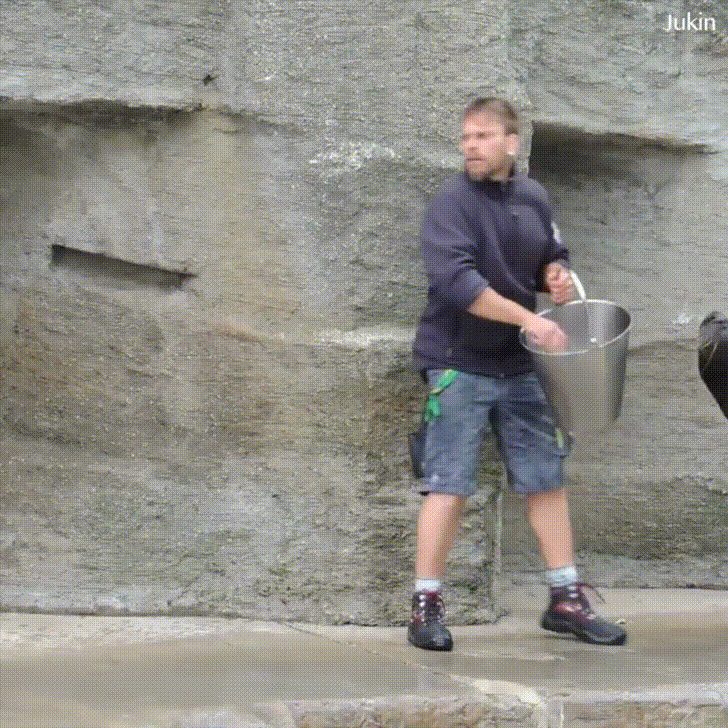 Video gif. Man with a big bucket throws fish out to a group of seals. The biggest seal scoots up to the man and stands up to hug him. Another seal stands up and hugs him as well. The man pets the seal.