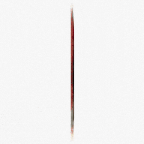 Photographer Lollapalooza GIF by Respective