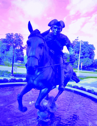 Captain Jack Nc GIF by Mecklenburg County