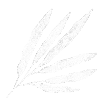 Leaves Decor Sticker