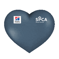 Adopt Best Friends Sticker by Nova Scotia SPCA