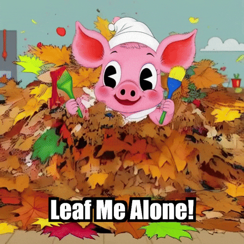 Fall Vibes Leaf Me Alone GIF by The Pigasso