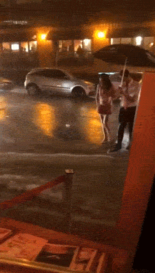 roygranot giphyupload GIF
