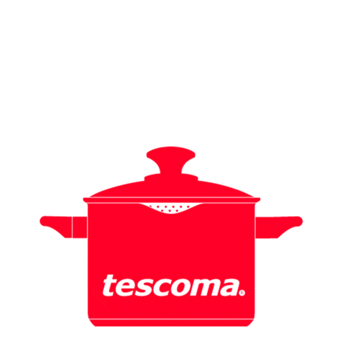 TESCOMA_SPAIN giphyupload hot fun cooking Sticker