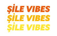 Festival Bigburnistanbul Sticker by BURN_Energy