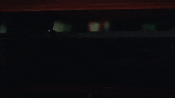 Will Ferrell Mca GIF by Beastie Boys