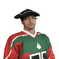 AngletHormadi hockey anglet ligue magnus hormadi Sticker