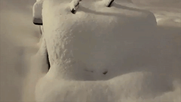 Record Snow Buries Car in Japan's Aomori City