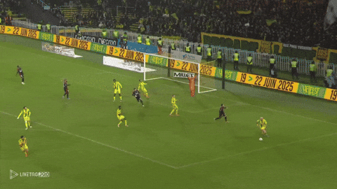 zgiorgos10 giphyupload GIF