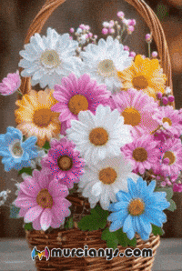 Para Ti Amigos GIF by Murcianys LLC