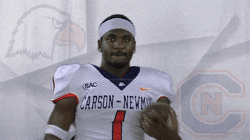 Cnfb19 GIF by Carson-Newman Athletics