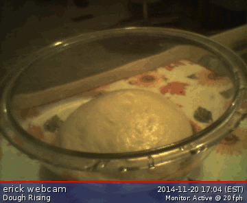 bread GIF