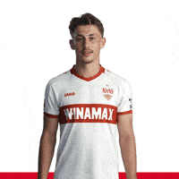 Love GIF by VfB Stuttgart