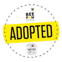Bee Adoption Sticker by BeeSocialGroup