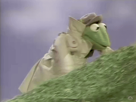 Kermit rolling down a hill