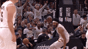 Awesome Lets Go GIF by NBA