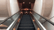 Stairway To Heaven Restaurant GIF by Orlando International Airport (MCO)
