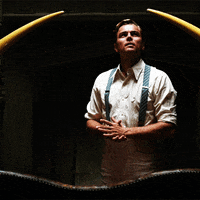 leonardo dicaprio leo GIF