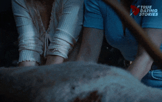 Dead Animal Comedy GIF by CBC