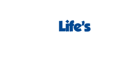 Summer Life Sticker by Blue Star Ferries