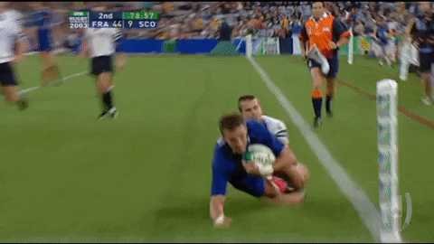 Happy France GIF by World Rugby
