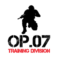 Fire Work Sticker by OP.07 TRAINING DIVISION