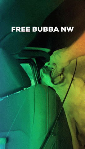 iamnastyjayham bubba kingkalikush kingkali freebubbanw GIF
