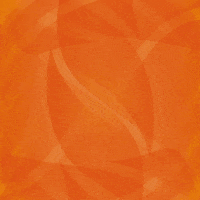 TeamNL juichen teamnl nocnsf europeangames GIF