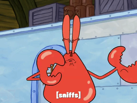season 7 episode 22 GIF by SpongeBob SquarePants