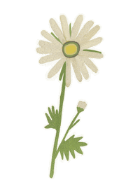 fond_vera цветы дети школа 1 сентября Sticker