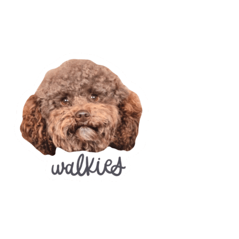 Poodle Nutella Sticker