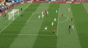 euro 2016 GIF by Sporza