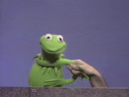 Sesame Street Yes GIF by Muppet Wiki
