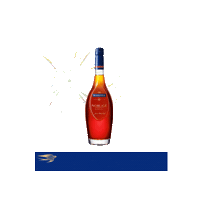 Party Clubbing Sticker by Maison Martell
