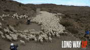 Ewan Mcgregor Charley GIF by Apple TV+