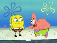 season 6 GIF by SpongeBob SquarePants