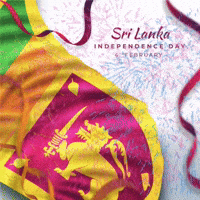 Independence Day GIF