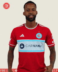 Happy Chicago Fire GIF by Chicago Fire Football Club