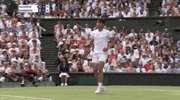Novak Djokovic Sport GIF by Wimbledon