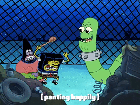 season 4 the lost mattress GIF by SpongeBob SquarePants