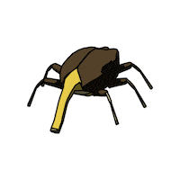 Bug Sticker by Raw Fury