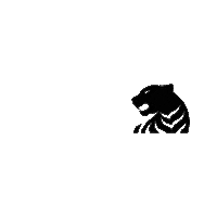 Soccer Futbol Sticker by Tiger Tournaments