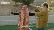 Dogwhisperer GIF by National Geographic Channel