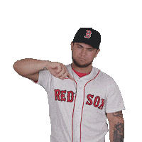 Red Sox Mlb Sticker by Boston Red Sox