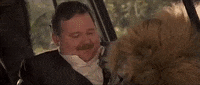 Wild Animals Movie GIF